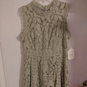 Ladies dress Altar'd State